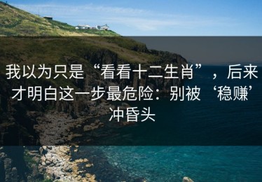 我以为只是“看看十二生肖”，后来才明白这一步最危险：别被‘稳赚’冲昏头
