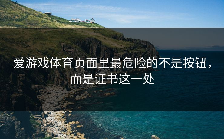 爱游戏体育页面里最危险的不是按钮，而是证书这一处